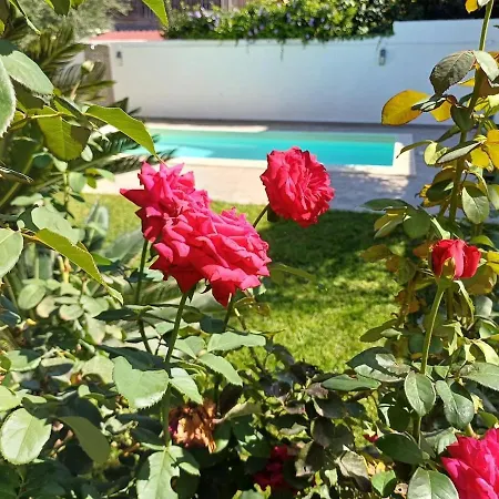 Due Mari Mondello With Private Pool Villa